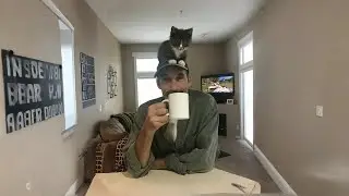 Когда кошки более ласковые, чем вы думаете😍