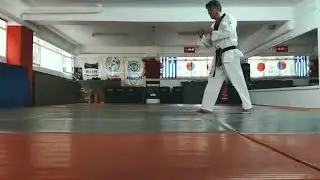Taekwondo Techniques Stamatis Efstathiou Tiro Yop Chagi Slow Motion