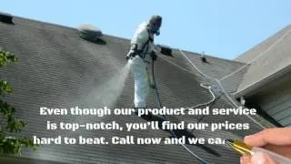 No Pressure Roof Cleaning - Have Your Roof Cleaned by the Experts