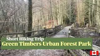 Green Timbers Urban Forest Park: A short hike at the birthplace of reforestation in British Columbia