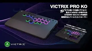 VICTRIX PRO KO にOリング付けてみた　春麗
