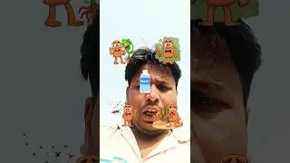 #wpstatus 🤣🤣