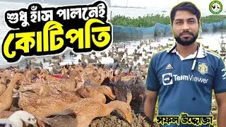 সরকারি চাকরির পাশাপাশি হাঁস খামার | স্বাবলম্বী সোহাগ ভাই | Chalan Beel Duck Farming |