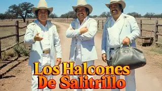 Los Halcones de Salitrillo 🦅 | Puro Corrido Norteño Viejito del Bueno