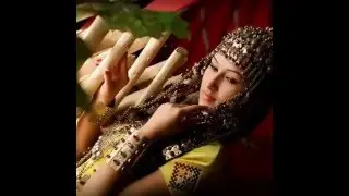 محیب الله دالی3