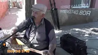 (YÜKSEL ASLAN) BUNCA YILDIR DALDAN DALA KONARSIN