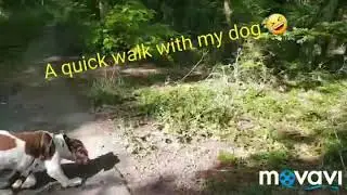 Love dogs (national dog appreciation day)