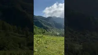 10 seconds of peace from Iran&rsquo;s northern forests🍃 #NorthIran #IranNature #Forest #Nature #Paradise