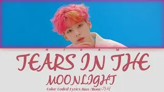 Ridam 'Tears In The Moonlight' K-Drama OST (Color Coded Lyrics) Official
