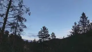 Day 61 - Foundation Layout- Colorado Log Cabin Build