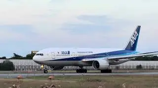【大型機の離着陸！！】伊丹空港でANA787-10の着陸とANA777-200ERの離陸