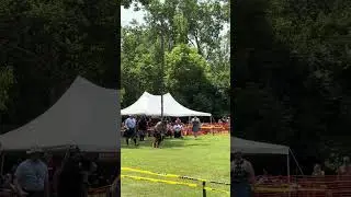 Caber Toss