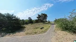 The 'Beekhuizerzand' in the veluwe area of the Netherlands (music)