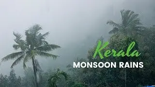 KERALA FLOODS 2019 | HEAVY RAIN | AUGUST 2019 |MONSOON KERALA