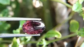 4.76Ct Natural Rubilite