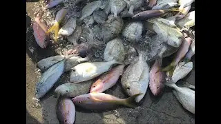 Florida Fishing Miss Islamorada Florida Keys Bud Mary's 1
