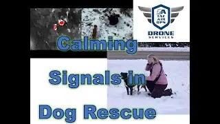 Calming Signals for Dog Rescue w/ Thermal Drone Overwatch & Coaching FAA Part 107 Pilot SAR
