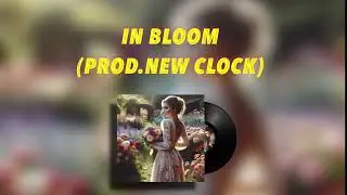 Soft x Flower xR&B Type beat 