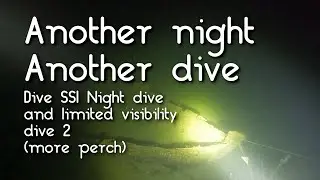 Second dive in the Dive SSI Night dive and limited visibility course 2022-11-08