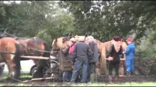 Ploegdag Orvelte 2013