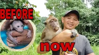 Monkey Tun Tun is back!!!