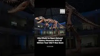 Abu Dhabi to Open Natural History Museum Featuring 67-Million-Year-Old T-Rex Fossil