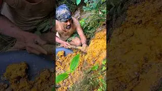The process of finding gold | finding gold in bedrock fragments | finding gold nuggets worth $3.579