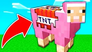 OBEJOS = TNT!? 🔥🤣 | Minecraft