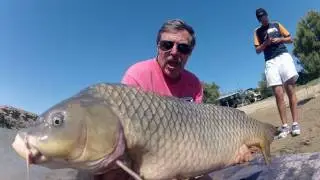 Ep  94 Graeme Pullen, Carp Falacies