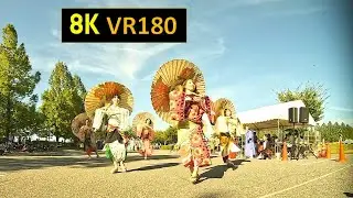 【8K VR180】新潟 風と大地のめぐみ にいがた南連と仲間たち下駄総踊り