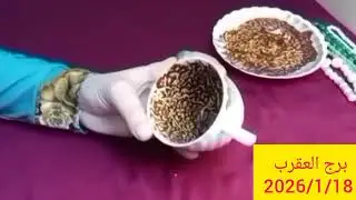 برج العقرب 🎀 هتسمع خبر حلو 👌 مراقبه فرصة تاخذ حقك 💝 مكالمة من رئيس 💘علو شأن 💯مكار ومخادع ❤️عودة غائب