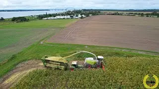 Maisernte auf Fehmarn 2022 / Claas Jaguar 970 / Kemper 390+ / LU Carsten Walkling / Fendt / Krone TX