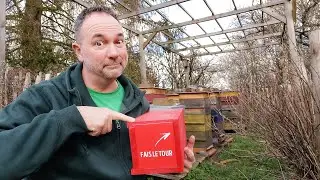 Comment protéger vos abeilles des frelons asiatiques avec ce piège efficace - Apiculture S03E02