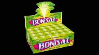 NICO Europe - Bonsai