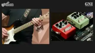 Multi Fuzz and Vintage Distortion  Andy Timmons Limited Edition NIG/GNI