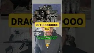 We could call military soldiers dragoons right now