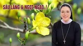 KHÚC NHẠC MÙA XUÂN...Ca khúc gợi nhớ quê hương bởi giai điệu mượt mà và giọng ca mía lùi của Sr..
