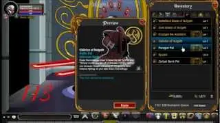 AQWorlds - Dark Caster X Shop(Rare) and DonSword's Character Unleashed(Old)