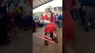Pulga de Alamo Texas #shorts #musica #music #humor #youtubeshorts #spotifyclone #dance