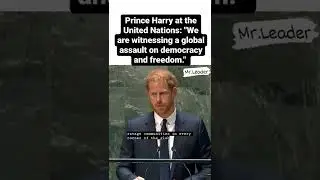 Prince Harry at the UN: 