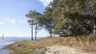 $599,000 in NAGS HEAD 27959