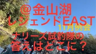 2024/11/24 レジェンドEAST11月例会で金山湖に来ました。1週間後にナリーズの例会があるのでその試釣も兼ねています。新べら放流前の厳しい状況で答えを見つけられるのか、見つけられないのか？？