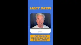 Meet Drew Lead Trainer Canine Solutions Dog Training