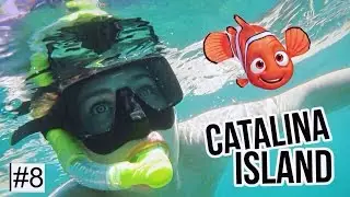 Capturei o Nemo em Catalina Island #IgorTakesLA Ep.8