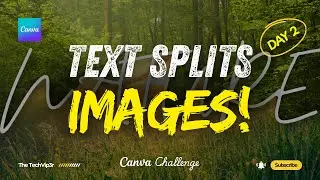 Text Split Effect in Canva | 20-Day Canva Challenge