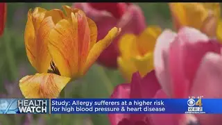 HealthWatch: Allergy Sufferers Could Be At Higher Risk For Heart Disease; Caffeine Could Improve Cer