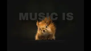 Music Is - Pryces