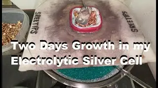 Silver Cell Update 2 Days Growth