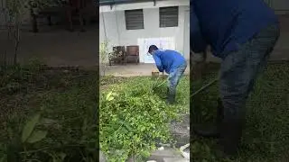 Singapore unskilled jobs #shorts