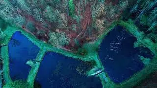 Dolina Bobru - Modrzewie 08 11 25